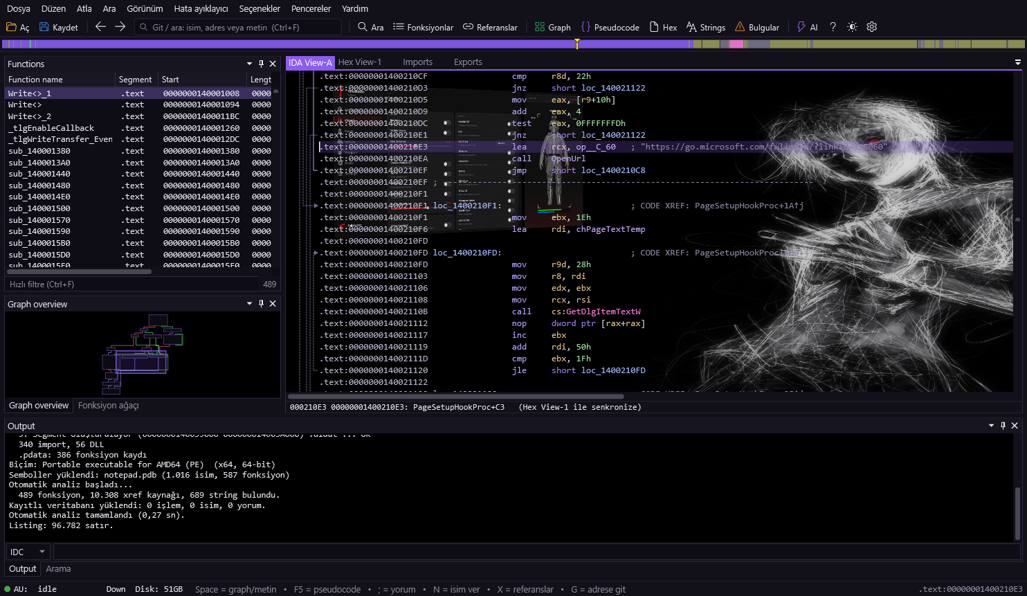 Text (disassembly) view